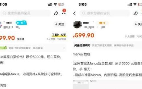 第一波用Manus赚钱的人出现了