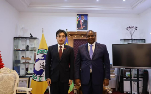 中泽诚（北京）董事长陈真龙率团队访非践行使命：以行动传递中国企业家的责任担当