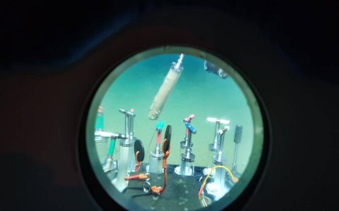 6000米以下深海生物如何“抗压”？我国科学家首次揭秘