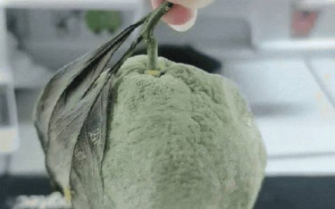 一个发霉橘子卖了上千元？