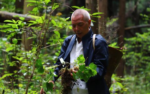 数十载深汕路 千万家杏林春 宣恩“爱医生”杨顺爱的岐黄人生