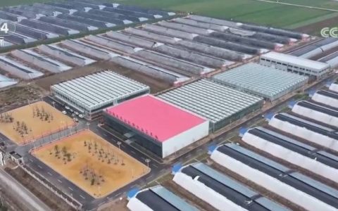 “两新”政策加力扩围 设施农业改造向“新”提“质”