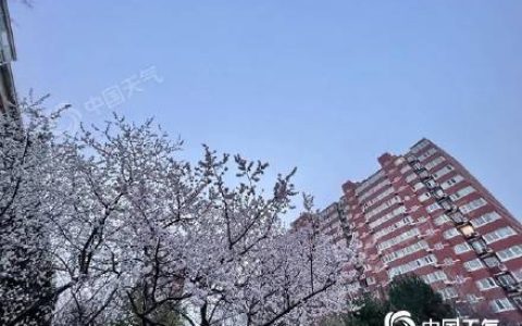 北京今明天雨雪降温来袭 最低气温将跌至冰点以下