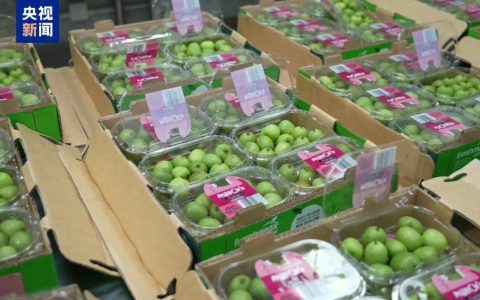 全国首批！这种水果已到上海……网友：馋了！