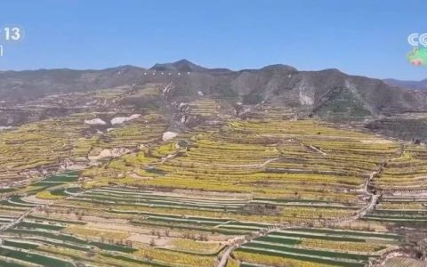 以花为媒、以农兴旅 花海“流量”开启以旅促农增收“金钥匙”