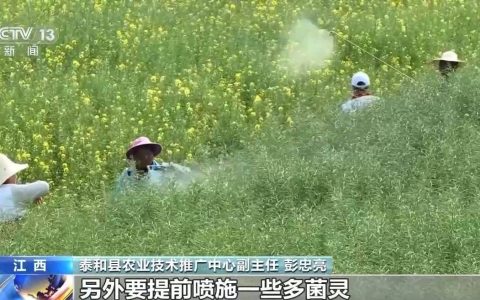 中东部气温骤降 对春耕春管影响几何？如何应对？