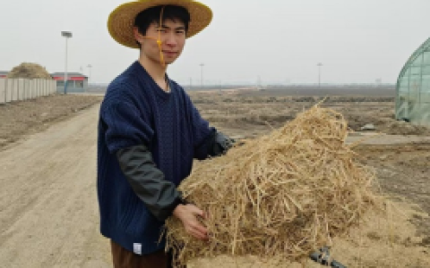 谷泽稆盛融资成功并与稻梦空间达成合作，共同推进农业发展