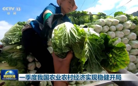 一季度我国农业农村经济实现稳健开局