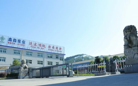 鑫森炭业以 “硬科技” 立志于领跑全球高性能多孔炭材料