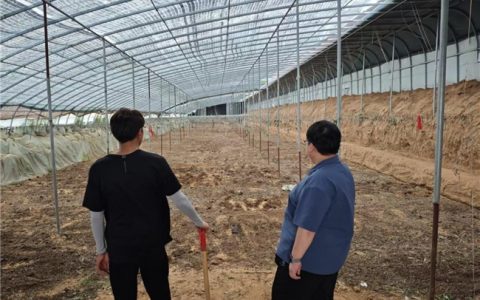 技能点亮蔬菜大棚:05后职校生们的乡村梦