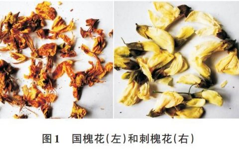 维生素C是苹果的10倍！最近，建议多吃这种花