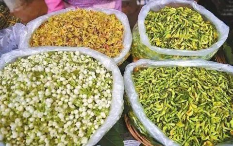 可食用鲜花加入春菜大军