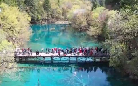 一季度全国服务消费增势较好 新兴消费展现较强活力