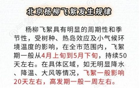飞絮又来了 ！北京发布首个杨柳飞絮预报 如何预防一文读懂