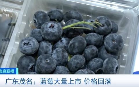 价格“腰斩”！近期大量上市了！