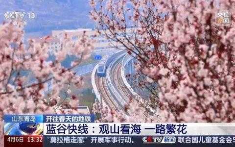 一路繁花 坐着“开往春天的地铁”踏春赏花！