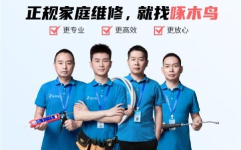 小病大修、无病乱修被315点名！啄木鸟公示整改方案