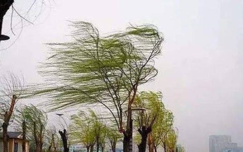 “五一”假期山西旅游订单持续增长