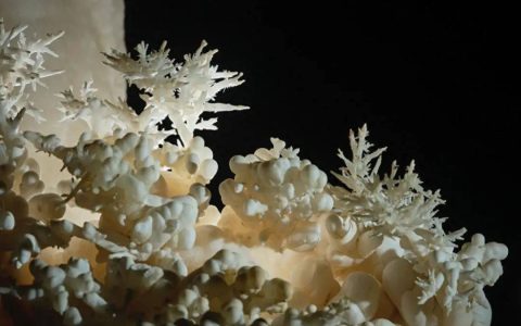 贵州一地发现4.8亿年“地下水晶宫”