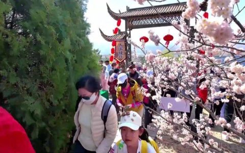 清明赏花文旅热 点燃消费新引擎
