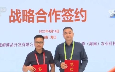 “国际范”与“烟火气”并存 消博会助力外贸优品拓展内销“新”市场