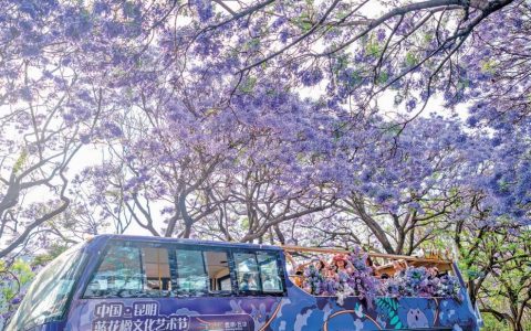 昆明“五一”怎么玩？超多活动来了！