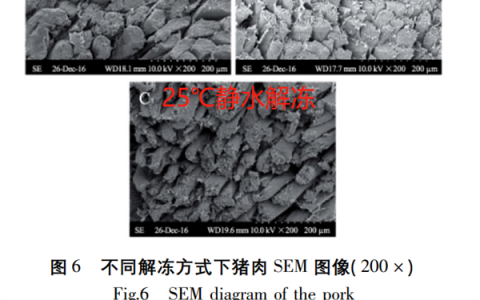 这几个无意识的习惯：可能在悄悄伤害你的健康