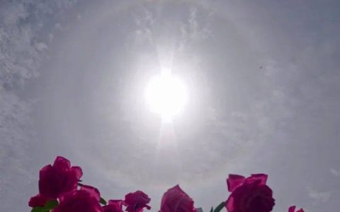 夏天要来了！广西局地最高气温或飙升至38℃