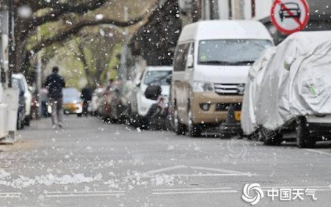 又到飞絮季！2025杨柳絮盛飞预警地图来了 六字口诀全方位防护