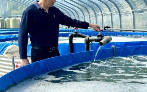 把鱼饿瘦了再卖，武汉一老板还多赚了钱