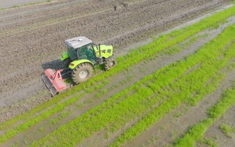 “智慧春耕”赋能田野 湖南农业现代化图景一线扫描