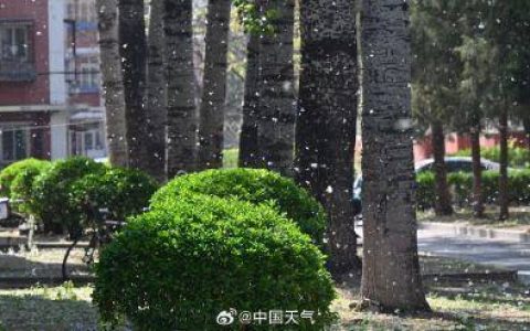 今天北京晴暖持续最高气温26℃ 北风较大阵风可达6至7级