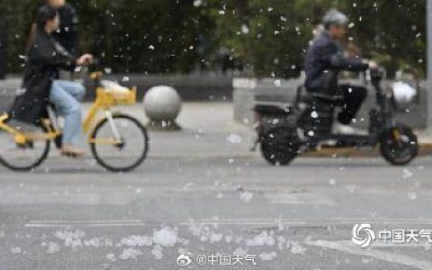 沉浸式体验北京柳絮扑脸