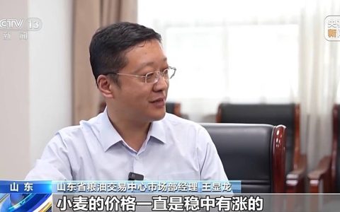 还在地里就被买走 从竞价平台看小麦市场新变化