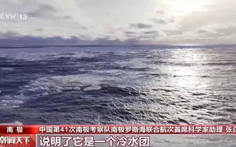 海水里藏着哪些南极生态奥秘？科学家们深入探索罗斯海