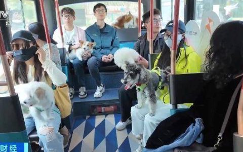 “毛孩子”也能坐公交啦！来看这趟特别的巴士