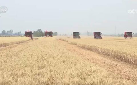 夏收“新图景”：智能化农机助力颗粒归仓