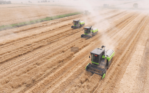 三夏最前线丨安徽小麦开镰！中联重科智能农机“减损比武”秀实力