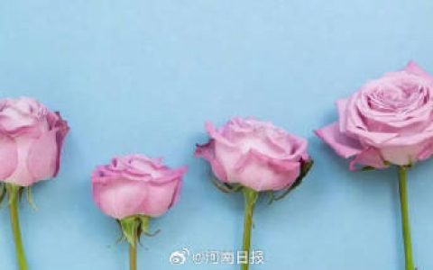 气血不足的人外表有4个特点