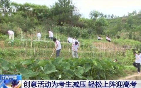 趣味运动会、解忧杂货铺 各地创意活动让考生轻松迎接高考