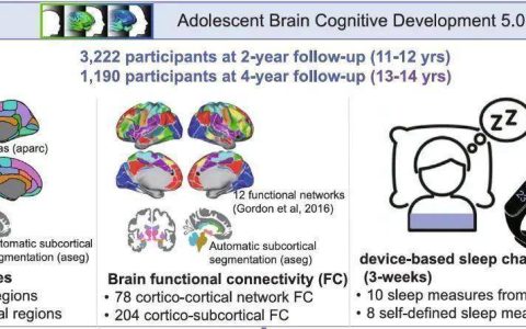 少睡一刻钟，脑子变“懵懂”？劝你早睡的科学依据来了