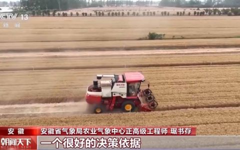 气象预报加上数字化监测 小麦“颗粒归仓”有了“最强大脑”