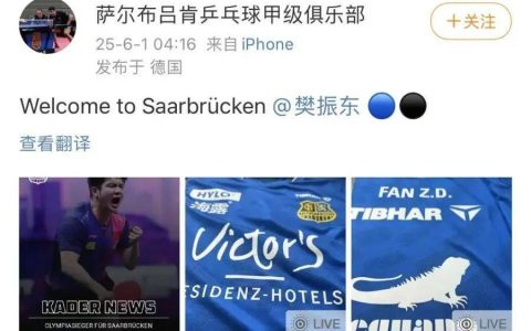 中国乒协发声：理解尊重本人意愿，支持樊振东加盟德甲