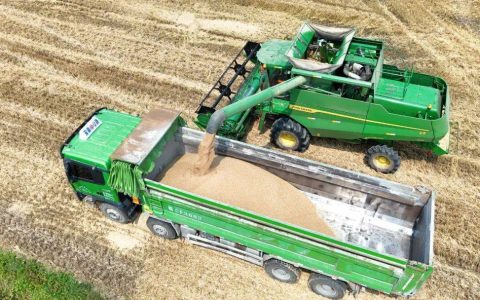 安徽4300多万亩小麦抢收基本结束！