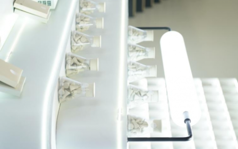 科学“肠”识 带动健康体重全民行动｜呜咔实验室闪耀2025中国肠道大会