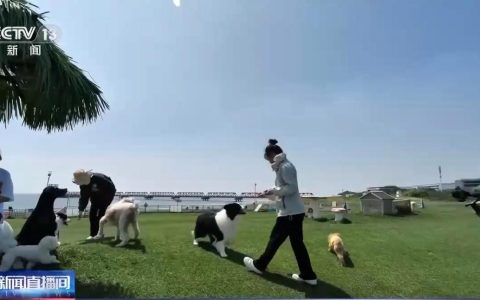 被打不敢还手？新法明确正当防卫免罚 明年元旦起施行