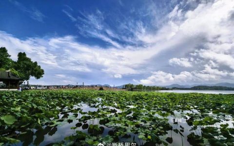冲击38℃！浙江未来7天持续晴热，小心强对流突袭
