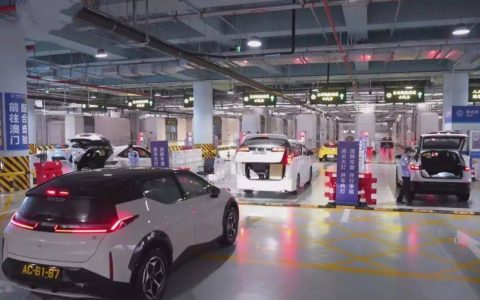 10300辆次！创口岸开通以来最高纪录