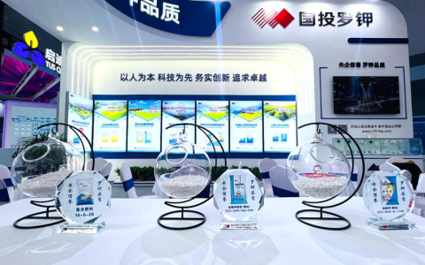 聚焦盐湖开发 共话钾业未来 | 国投罗钾受邀参加2025世界钾盐钾肥大会暨格尔木盐湖论坛