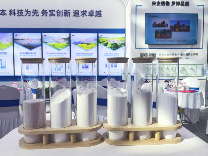 聚焦盐湖开发 共话钾业未来 | 国投罗钾受邀参加2025世界钾盐钾肥大会暨格尔木盐湖论坛插图14